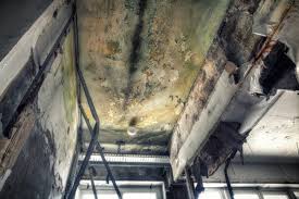 Best Residential Mold Inspection & Testing  in Gloversville, NY